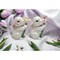 kevinsgiftshoppe Ceramic Bunny Rabbits with Flowers Salt and Pepper Shakers Home Decor  Kitchen Decor Spring Decor
